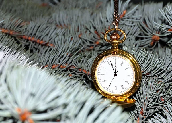 Bellissimo Orologio Tasca Vintage Una Cassa Oro Pende Ramo Albero — Foto Stock