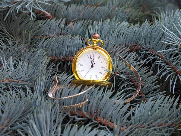 Eine Wunderschöne Alte Taschenuhr Goldgehäuse Hängt Einem Ast Eines Weihnachtsbaums — Stockfoto