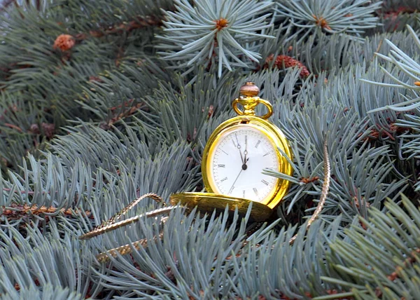 Bellissimo Orologio Tasca Vintage Una Cassa Oro Pende Ramo Albero — Foto Stock