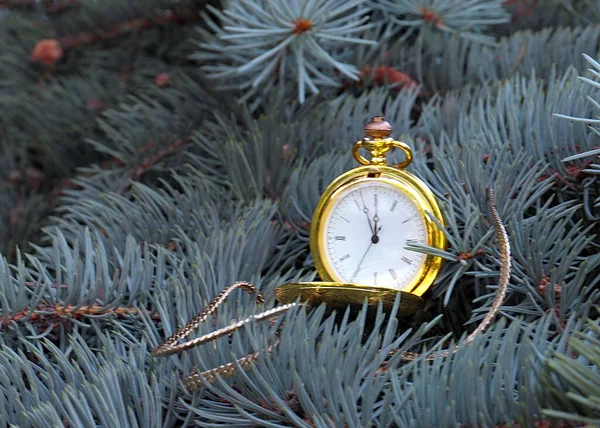 Piękny Zabytkowy Zegarek Kieszonkowy Złotej Walizce Wisi Gałęzi Choinki — Zdjęcie stockowe