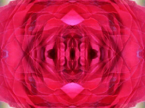 Примхливі Рожеві Абстрактні Візерунки Погляді Квітку Калейдоскопі — стокове фото