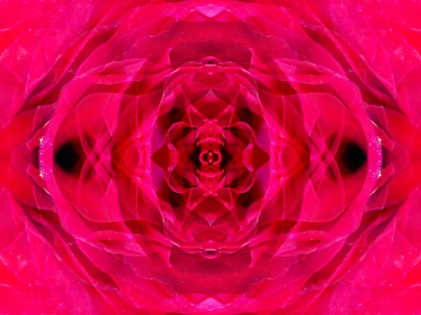 Padrões Abstratos Rosa Extravagantes Olhar Para Uma Flor Caleidoscópio — Fotografia de Stock