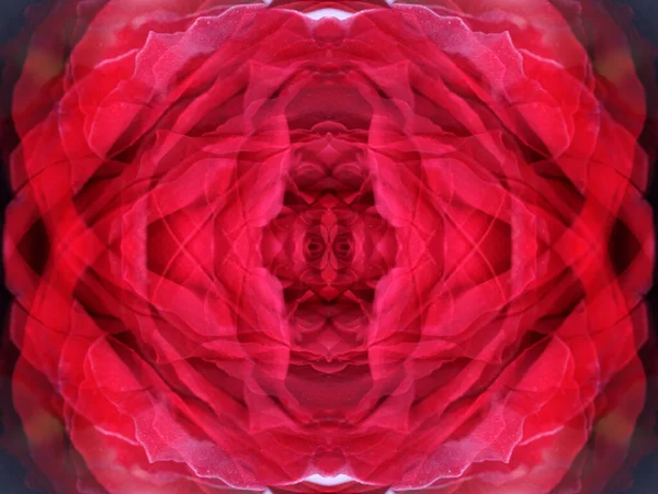 Причудливые Розовые Абстрактные Узоры Взгляде Цветок Калейдоскопе — стоковое фото