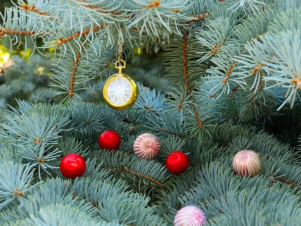 Schmuck Und Antike Taschenuhr Auf Einem Zweig Eines Weihnachtsbaums — Stockfoto