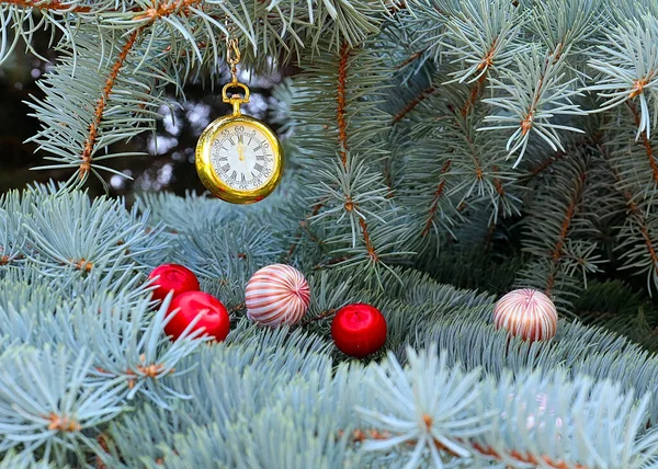 크리스마스 트리의 나뭇가지 골동품 — 스톡 사진