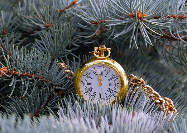 Orologio Tasca Antico Una Cassa Oro Pende Ramo Albero Natale — Foto Stock