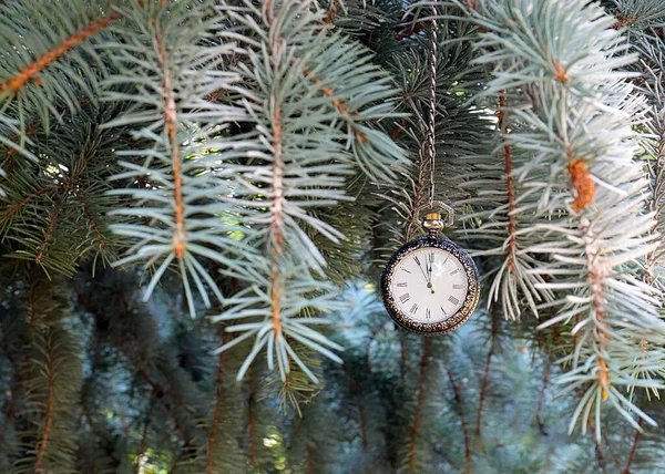 Reloj Bolsillo Antiguo Una Caja Oro Cuelga Una Rama Árbol — Foto de Stock