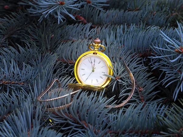 Orologio Tasca Antico Una Cassa Oro Pende Ramo Albero Natale — Foto Stock