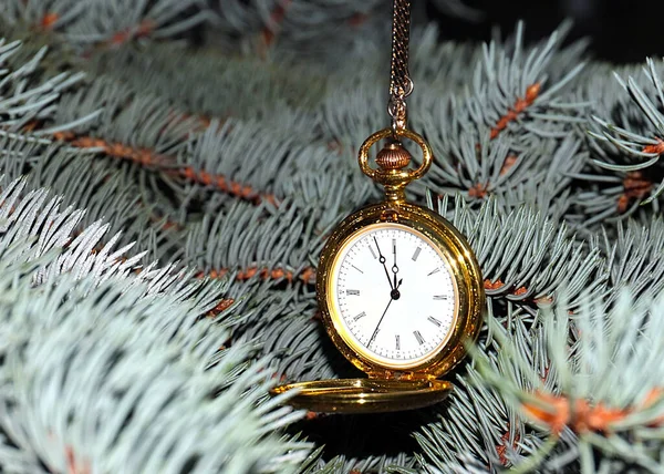 Orologio Tasca Antico Una Cassa Oro Pende Ramo Albero Natale — Foto Stock