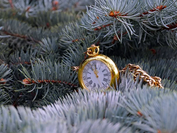 Антикварний Кишеньковий Годинник Золотому Футлярі Висить Гілці Ялинки — стокове фото