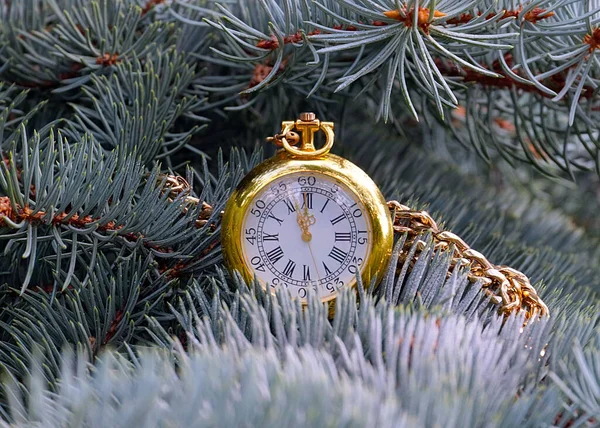 Orologio Tasca Antico Una Cassa Oro Pende Ramo Albero Natale — Foto Stock