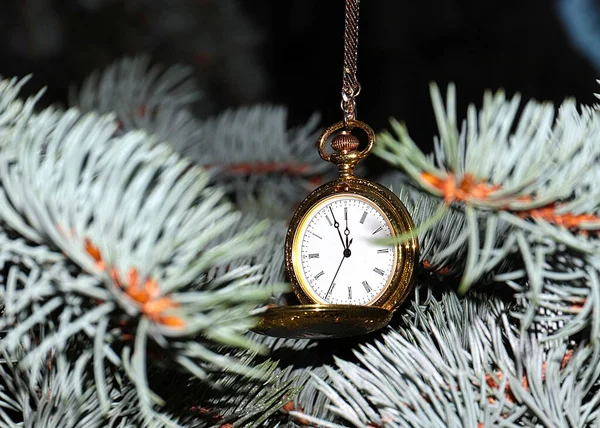 Zabytkowy Zegarek Kieszonkowy Złotej Walizce Wisi Gałęzi Choinki — Zdjęcie stockowe
