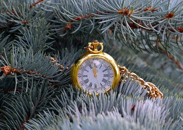 Eine Antike Taschenuhr Goldgehäuse Hängt Einem Ast Eines Weihnachtsbaums Stockbild