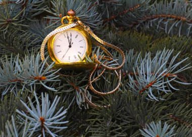 Altın bir kutuda antika bir cep saati ve bir Noel ağacının dalı.