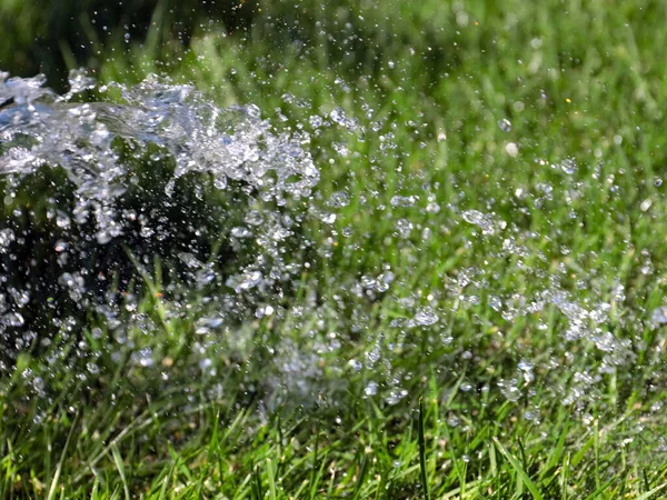 Mooi Groen Gazon Gras Een Stroom Van Helder Water Bij — Stockfoto