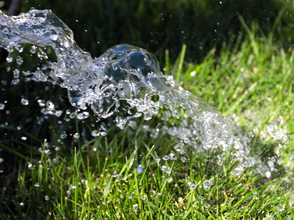 Mooi Groen Gazon Gras Een Stroom Van Helder Water Bij — Stockfoto