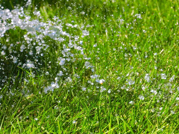 Bella Erba Prato Verde Ruscello Acqua Limpida Durante Irrigazione — Foto Stock