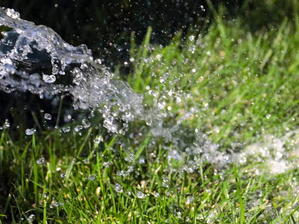 Mooi Groen Gazon Gras Een Stroom Van Helder Water Bij — Stockfoto