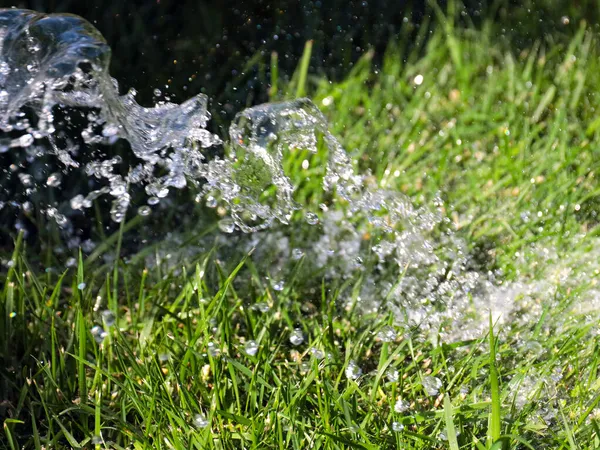 Beautiful Green Lawn Grass Stream Clear Water Watering — Stock Photo, Image