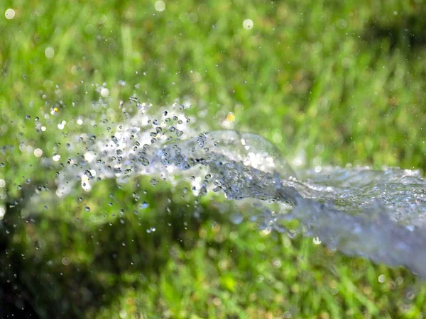 Piękny Zielony Trawnik Strumień Czystej Wody Podczas Podlewania — Zdjęcie stockowe