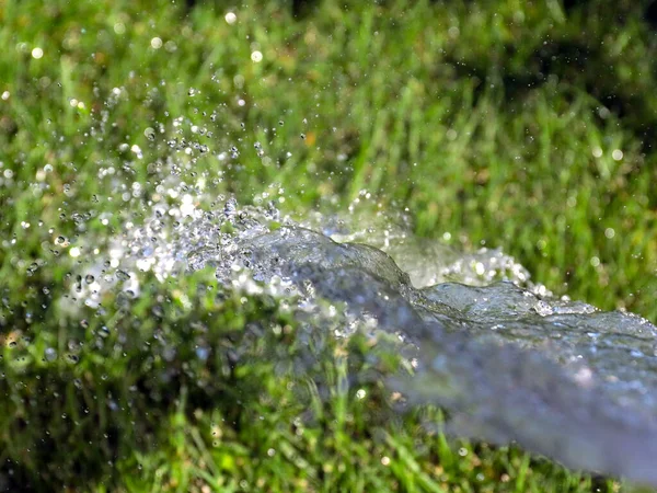 Beautiful Green Lawn Grass Stream Clear Water Watering — Stock Photo, Image