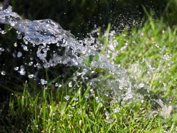 Mooi Groen Gazon Gras Een Stroom Van Helder Water Bij — Stockfoto