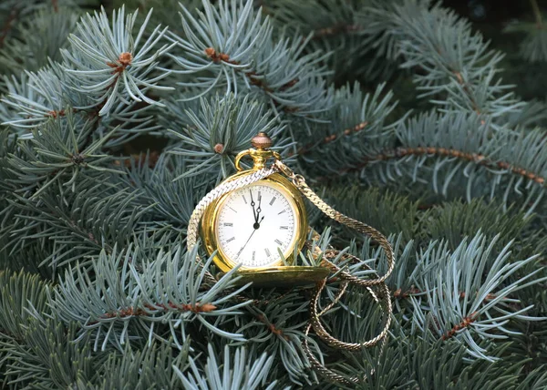 Orologio Tasca Antico Una Cassa Oro Ramo Albero Natale — Foto Stock