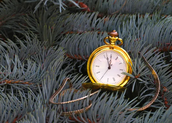 Orologio Tasca Antico Una Cassa Oro Ramo Albero Natale — Foto Stock