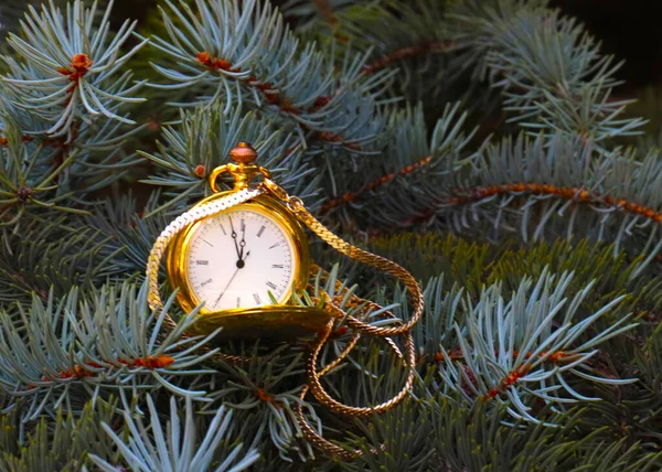 Orologio Tasca Antico Una Cassa Oro Ramo Albero Natale — Foto Stock