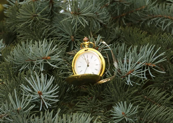 Orologio Tasca Antico Una Cassa Oro Ramo Albero Natale — Foto Stock