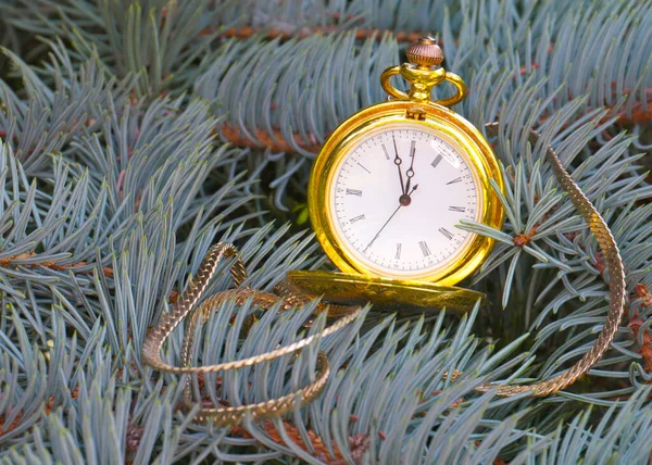 Orologio Tasca Antico Una Cassa Oro Ramo Albero Natale — Foto Stock