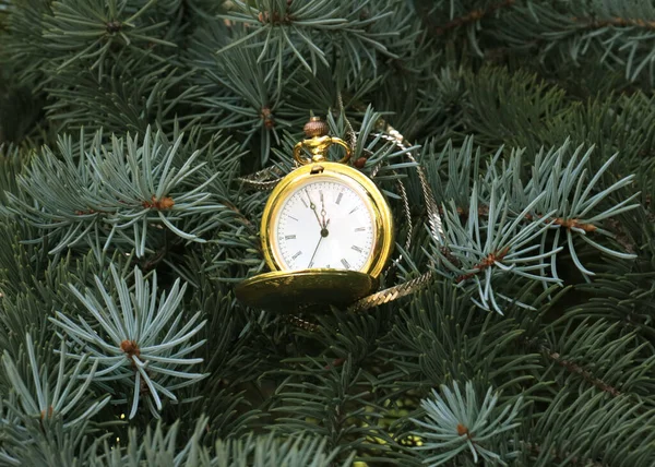 Zabytkowy Zegarek Kieszonkowy Złotej Walizce Gałązce Choinki — Zdjęcie stockowe