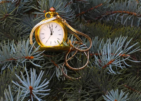 Orologio Tasca Antico Una Cassa Oro Ramo Albero Natale — Foto Stock