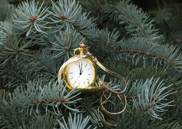Старинные Карманные Часы Золотом Чехле Ветка Новогодней Елки — стоковое фото