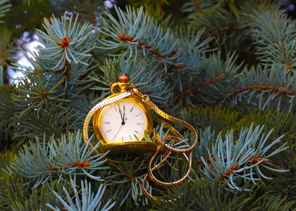 Старинные Карманные Часы Золотом Чехле Ветка Новогодней Елки — стоковое фото