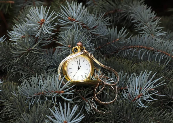 Antique Pocket Watch Gold Case Branch Christmas Tree — Stock Photo, Image