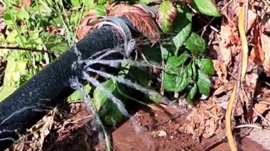 Eski kauçuk hortumun deliklerinden ve açıklarından temiz su fışkırıyor.