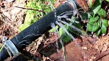 Eski kauçuk hortumun deliklerinden ve açıklarından temiz su fışkırıyor.