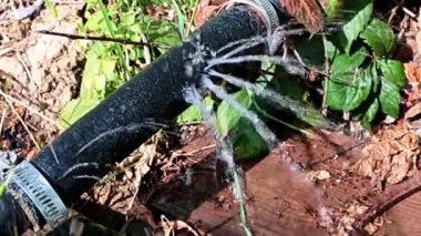 Eski kauçuk hortumun deliklerinden ve açıklarından temiz su fışkırıyor.