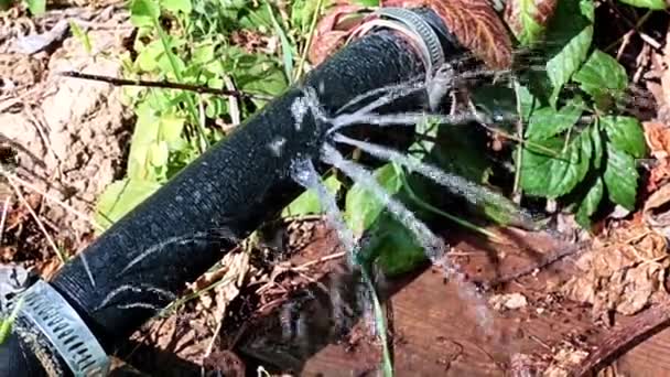 Chorros Agua Limpia Que Salen Los Agujeros Aberturas Manguera Goma — Vídeos de Stock