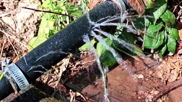 Eski Kauçuk Hortumun Deliklerinden Açıklarından Temiz Fışkırıyor — Stok video