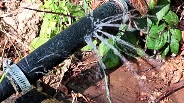 Chorros Agua Limpia Que Salen Los Agujeros Aberturas Manguera Goma — Vídeo de stock