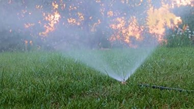 Plastik sprey kullanılarak çimenleri sularken temiz su akışı