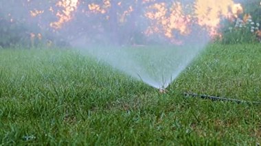 Plastik sprey kullanılarak çimenleri sularken temiz su akışı