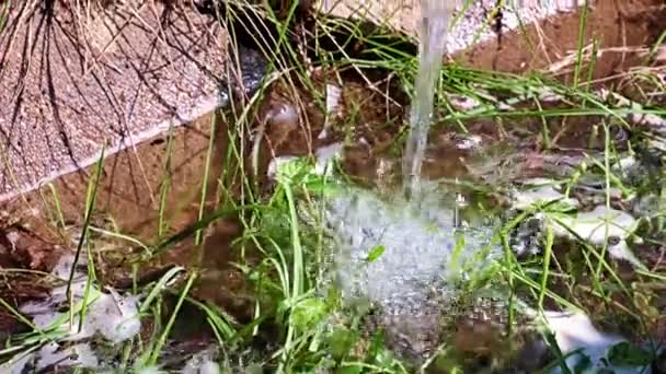 Een Stroom Schoon Helder Water Bij Het Besproeien Van Een — Stockvideo