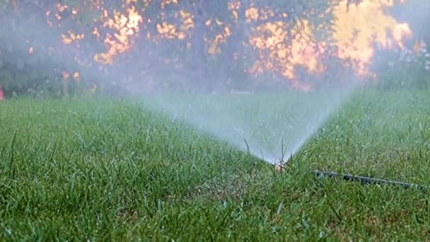 Klart Vattenflöde Vid Bevattning Gräs Med Plastspruta — Stockvideo