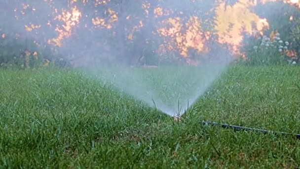 Écoulement Clair Eau Lors Arrosage Herbe Aide Pulvérisateur Plastique — Video