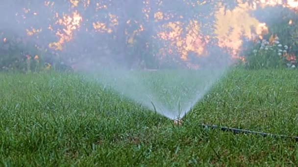 Clear Water Flow Watering Grass Using Plastic Sprayer — Stock Video