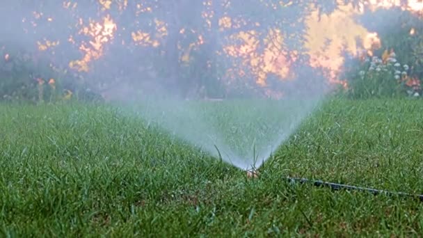 Helder Waterdebiet Bij Het Besproeien Van Gras Met Een Kunststof — Stockvideo