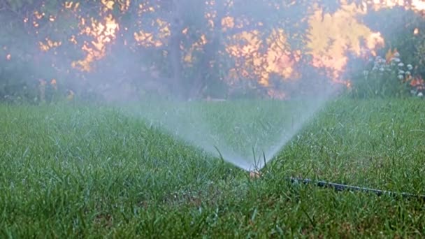 Klarer Wasserdurchfluss Beim Bewässern Von Gras Mit Einem Kunststoffsprüher — Stockvideo